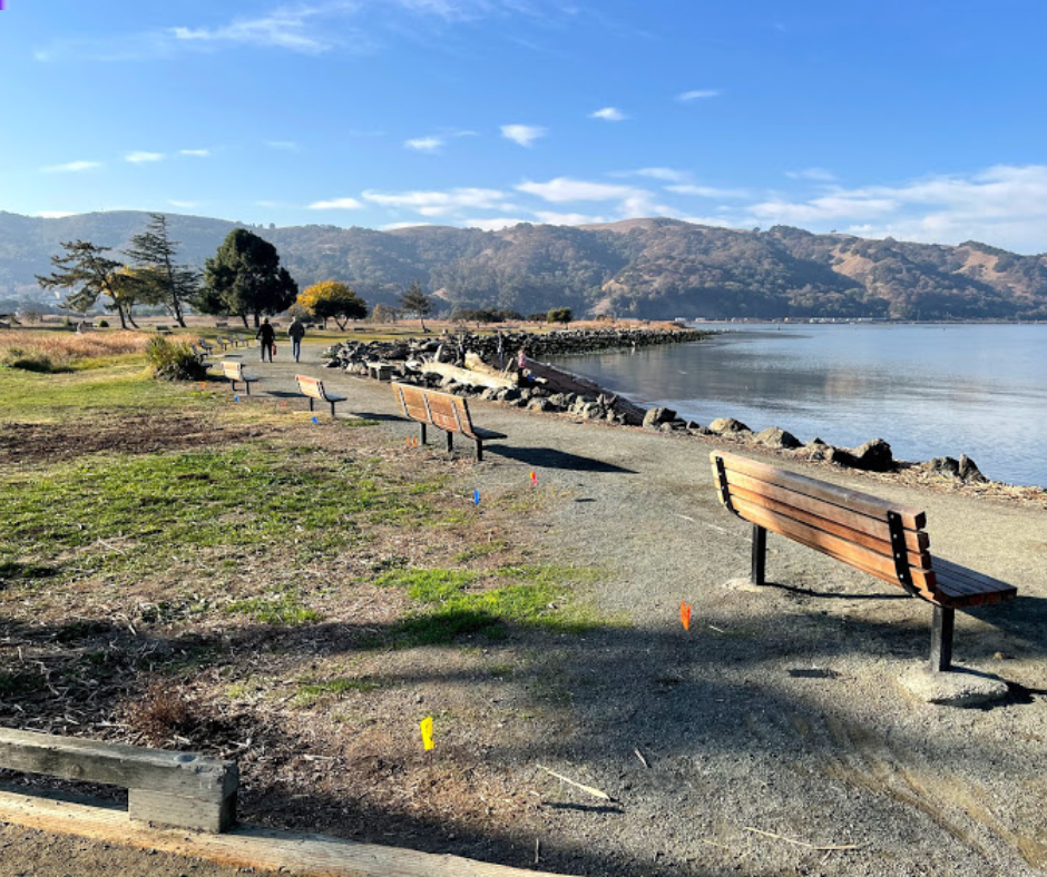 Waterfront with Benches